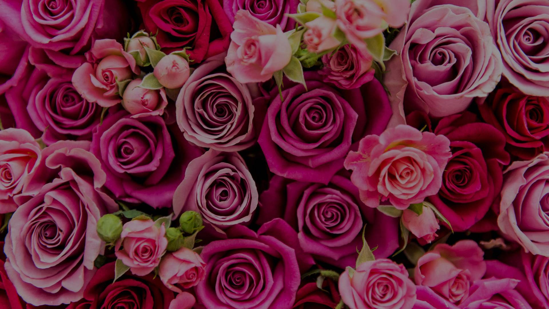 Menu San Valentino